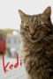 Nonton Streaming Download Drama Kedi (2017) Subtitle Indonesia