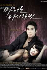 Nonton Streaming Download Drama Hateful But Once Again (2009) Subtitle Indonesia