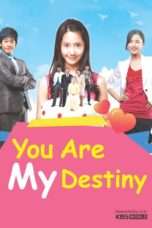 Nonton Streaming Download Drama You Are My Destiny (2008) Subtitle Indonesia