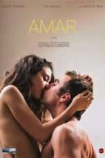 Nonton Streaming Download Drama Amar (2017) Subtitle Indonesia