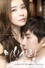 Nonton Streaming Download Drama Crazy Love (2013) Subtitle Indonesia