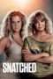 Nonton Streaming Download Drama Snatched (2017) jf Subtitle Indonesia