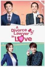 Nonton Streaming Download Drama Divorce Lawyer in Love (2015) Subtitle Indonesia