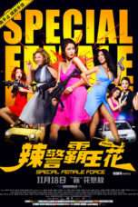 Nonton Streaming Download Drama Special Female Force (2016) Subtitle Indonesia