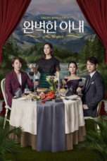 Nonton Streaming Download Drama Nonton Perfect Wife / Ms. Perfect (2017) Sub Indo Subtitle Indonesia