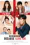 Nonton Streaming Download Drama Because I Love You (2016) Subtitle Indonesia