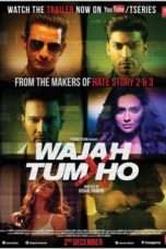 Nonton Streaming Download Drama Wajah Tum Ho (2016) Subtitle Indonesia