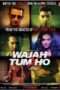 Nonton Streaming Download Drama Wajah Tum Ho (2016) Subtitle Indonesia