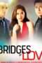 Nonton Streaming Download Drama Bridges of Love (2015) Subtitle Indonesia