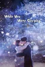 Nonton Streaming Download Drama While You Were Sleeping (2017) Subtitle Indonesia