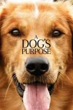 Nonton Streaming Download Drama A Dog’s Purpose (2017) jf Subtitle Indonesia