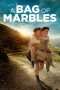 Nonton Streaming Download Drama A Bag of Marbles (2017) Subtitle Indonesia