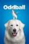 Nonton Streaming Download Drama Oddball (2015) Subtitle Indonesia