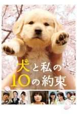 Nonton Streaming Download Drama 10 Promises to My Dog (2008) Subtitle Indonesia