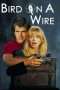 Nonton Streaming Download Drama Bird on a Wire (1990) Subtitle Indonesia