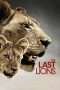 Nonton Streaming Download Drama The Last Lions (2011) Subtitle Indonesia