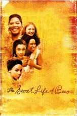 Nonton Streaming Download Drama The Secret Life of Bees (2008) Subtitle Indonesia