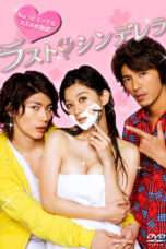 Nonton Streaming Download Drama The Last Cinderella (2013) Subtitle Indonesia