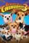 Nonton Streaming Download Drama Nonton Beverly Hills Chihuahua 3 – Viva La Fiesta! (2012) Sub Indo jf Subtitle Indonesia