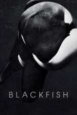 Nonton Streaming Download Drama Nonton Blackfish (2013) Sub Indo jf Subtitle Indonesia