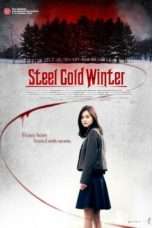 Nonton Streaming Download Drama Nonton Steel Cold Winter (2013) Sub Indo jf Subtitle Indonesia