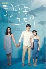 Nonton Streaming Download Drama Dear Dolphin (2013) Subtitle Indonesia