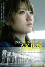 Nonton Streaming Download Drama Documentary Of AKB48 : No Flower Without Rain (2013) Subtitle Indonesia