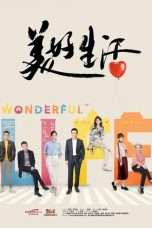 Nonton Streaming Download Drama Wonderful Life (2018) Subtitle Indonesia