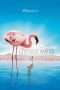 Nonton Streaming Download Drama Nonton The Crimson Wing: Mystery of the Flamingos (2008) Sub Indo jf Subtitle Indonesia