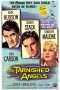 Nonton Streaming Download Drama The Tarnished Angels (1957) Subtitle Indonesia