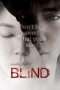 Nonton Streaming Download Drama Nonton Blind (2011) Sub Indo gt Subtitle Indonesia