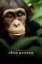 Nonton Streaming Download Drama Chimpanzee (2012) jf Subtitle Indonesia