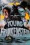 Nonton Streaming Download Drama Young Frankenstein (1974) Subtitle Indonesia