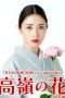 Nonton Streaming Download Drama Nonton Takane no Hana / Born to be a Flower (2018) Sub Indo Subtitle Indonesia