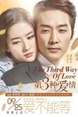 Nonton Streaming Download Drama The Third Way of Love (2015) jf Subtitle Indonesia