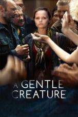 Nonton Streaming Download Drama A Gentle Creature (2017) Subtitle Indonesia