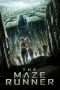 Nonton Streaming Download Drama The Maze Runner (2014) jf Subtitle Indonesia