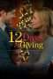 Nonton Streaming Download Drama 12 Days of Giving (2017) Subtitle Indonesia