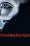 Nonton Streaming Download Drama Frankenstein (2004) Subtitle Indonesia