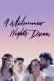 Nonton Streaming Download Drama A Midsummer Night’s Dream (2017) Subtitle Indonesia