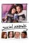 Nonton Streaming Download Drama Social Animals (2018) Subtitle Indonesia