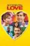 Nonton Streaming Download Drama Accidental Love (2015) Subtitle Indonesia