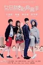 Nonton Streaming Download Drama Personal Assistant of Female President S01 (2016) Subtitle Indonesia