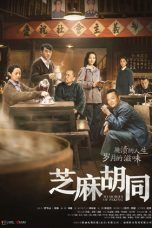 Nonton Streaming Download Drama Memories of Peking (2019) Subtitle Indonesia