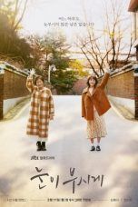 Nonton Streaming Download Drama Nonton The Light in Your Eyes (2019) Sub Indo Subtitle Indonesia