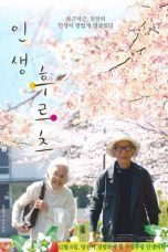 Nonton Streaming Download Drama Life is Fruity (2017) Subtitle Indonesia