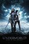 Nonton Streaming Download Drama Underworld: Rise of the Lycans (2016) gwq Subtitle Indonesia