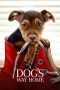 Nonton Streaming Download Drama Nonton A Dog’s Way Home (2019) Sub Indo jf Subtitle Indonesia