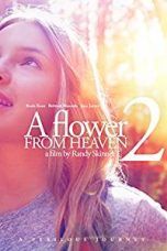 Nonton Streaming Download Drama A Flower From Heaven 2 (2018) Subtitle Indonesia