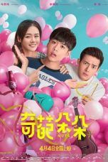 Nonton Streaming Download Drama Nuts (2018) Subtitle Indonesia